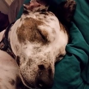 Meet your Posher, Stacey